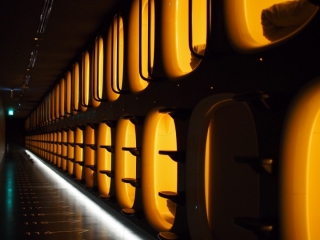 "9 hr Narita" Capsule Hotel